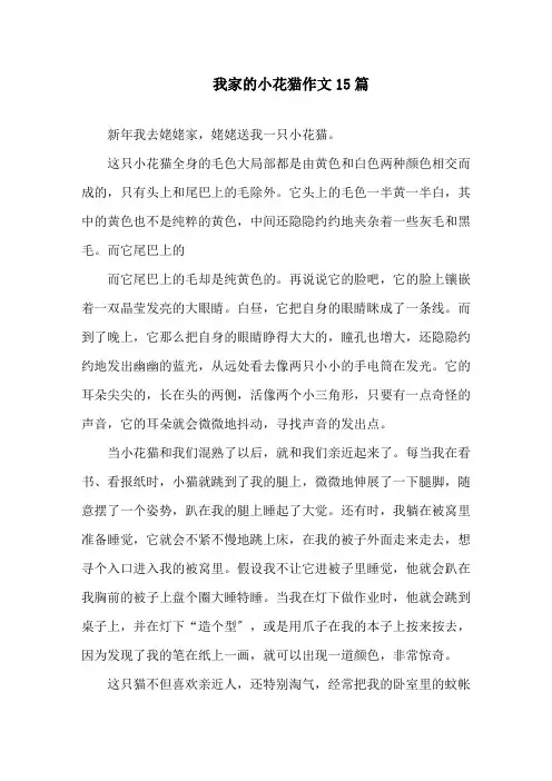 我家的小花猫作文精选