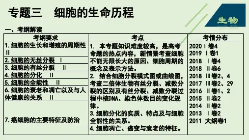2023届高三生物二轮复习：细胞的生命历程(精品课件)