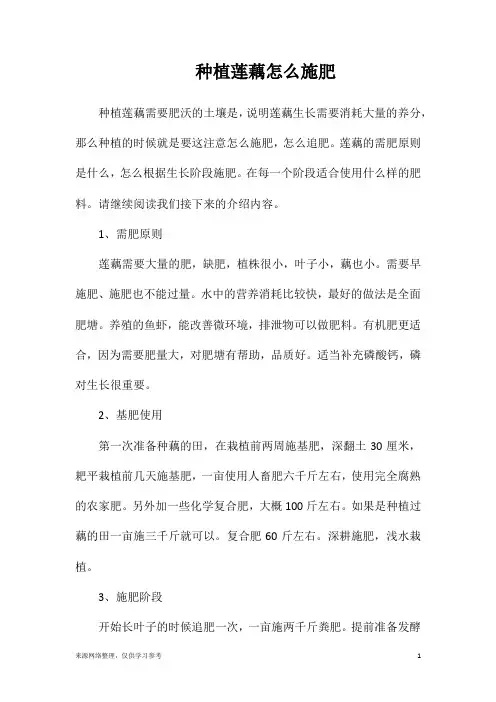 种植莲藕怎么施肥