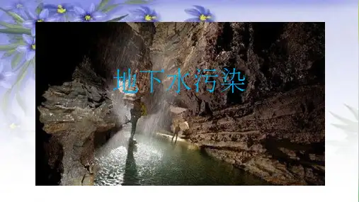 地下水污染(课堂PPT)