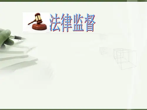 法律的监督