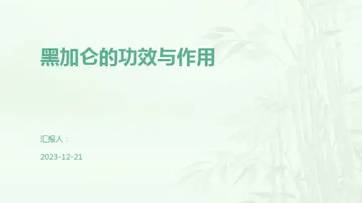 黑加仑的功效与作用