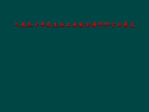 人教版七年级生物上册教学课件种子的萌发