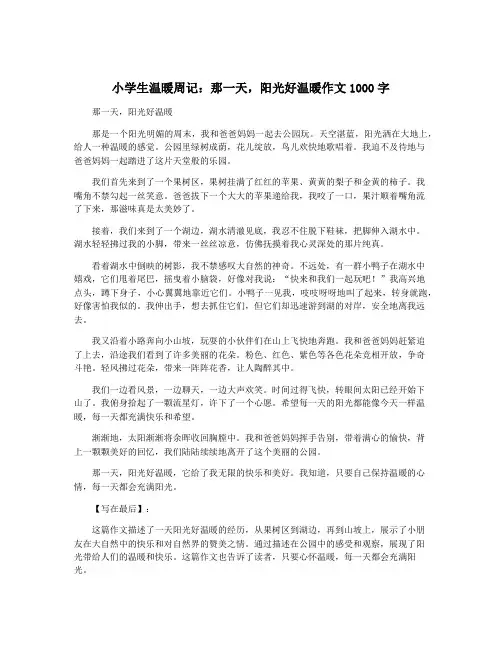 小学生温暖周记：那一天,阳光好温暖作文1000字