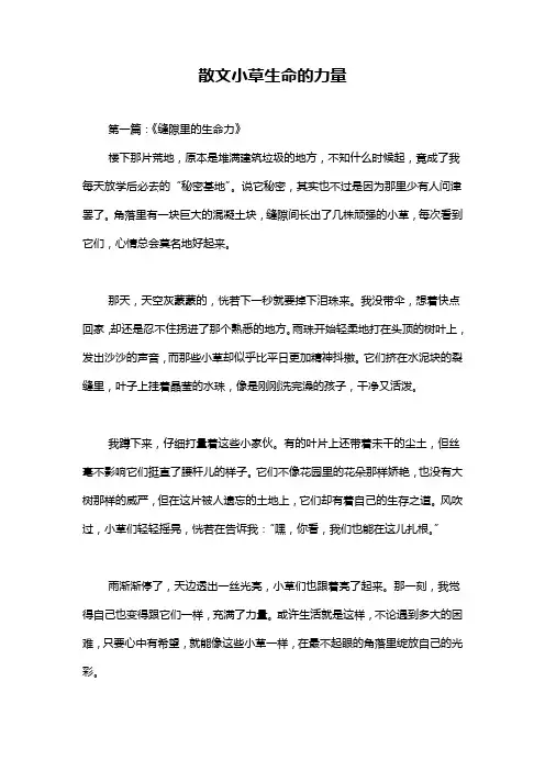 散文小草生命的力量