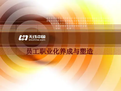 员工职业化养成与塑造培训教材-22页