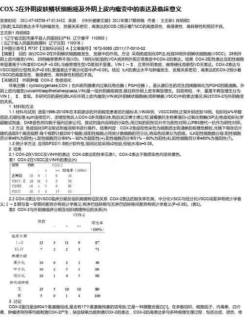COX-2在外阴皮肤鳞状细胞癌及外阴上皮内瘤变中的表达及临床意义