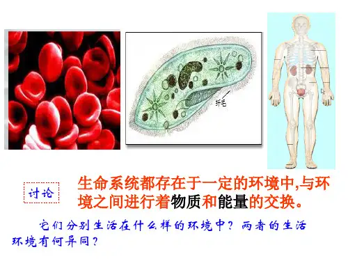 三册内环境与稳态_PPT幻灯片