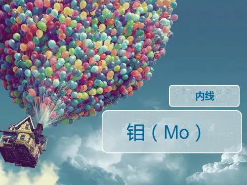 钼ppt