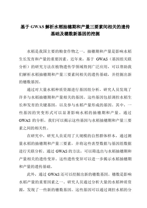 基于GWAS解析水稻抽穗期和产量三要素间相关的遗传基础及穗数新基因的挖掘