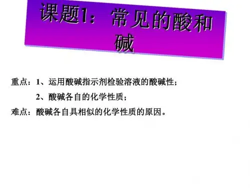 常见的酸和碱PPT课件7 人教版
