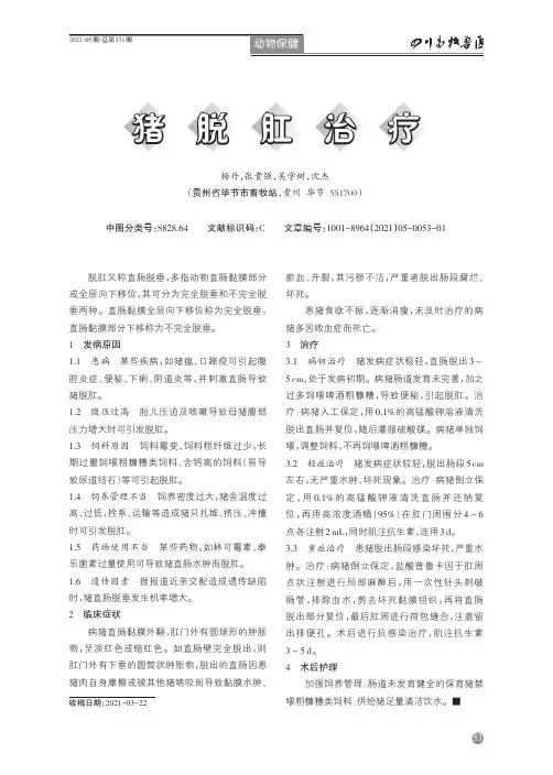 猪脱肛治疗