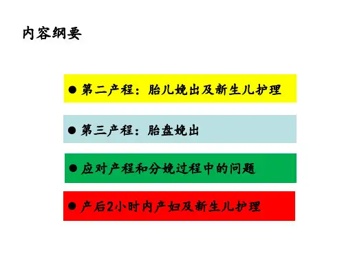 第二三产程的观察与处理 ppt课件42页PPT