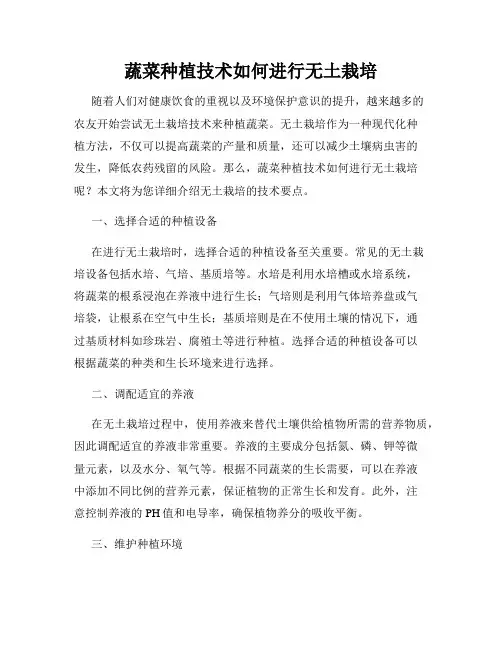 蔬菜种植技术如何进行无土栽培
