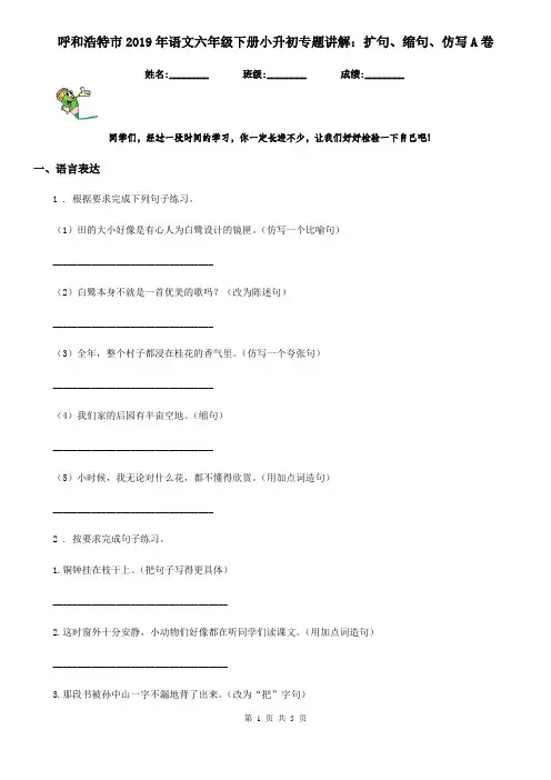 呼和浩特市2019年语文六年级下册小升初专题讲解：扩句、缩句、仿写A卷