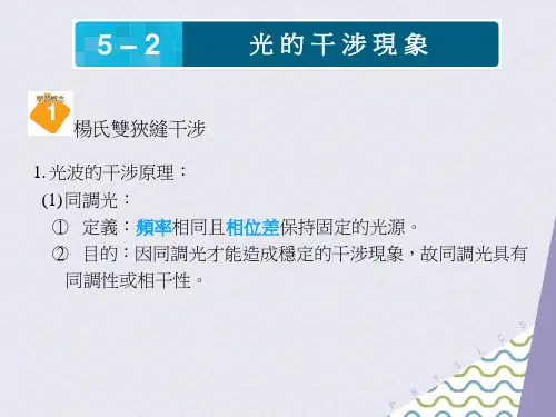 物理光学_光的干涉现象