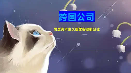 跨国公司    