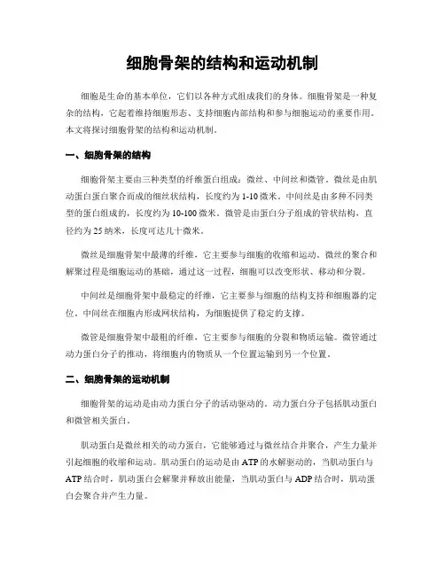 细胞骨架的结构和运动机制
