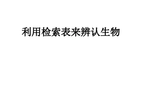第四节常见的动物(第四课时蚯蚓.检索表)PPT课件(初中科学)