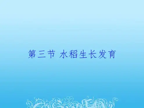 第三节 水稻生长发育