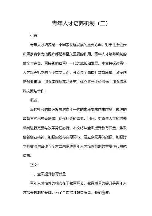 青年人才培养机制(二)
