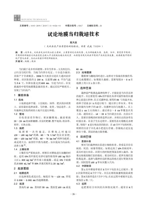 试论地膜当归栽培技术