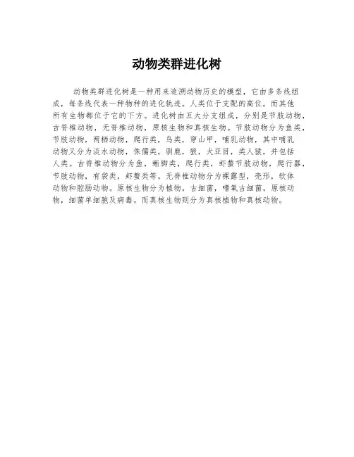 动物类群进化树