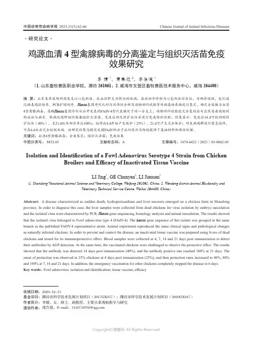 鸡源血清4_型禽腺病毒的分离鉴定与组织灭活苗免疫效果研究