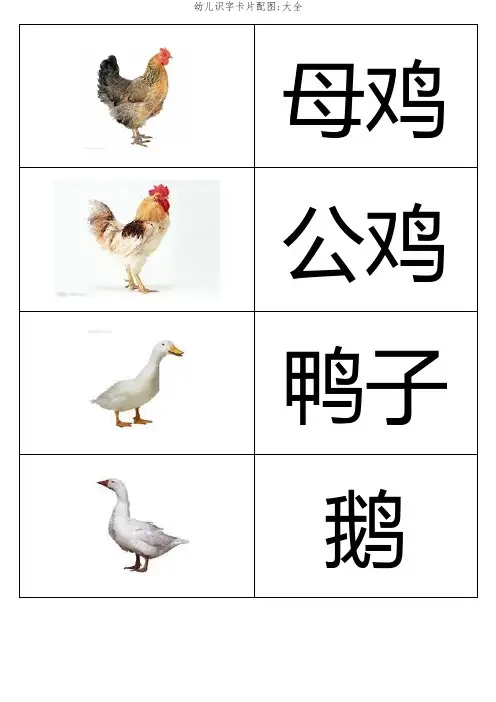 幼儿识字卡片配图：大全