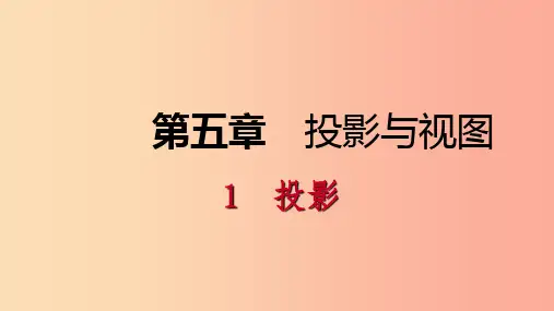 2019年秋九年级数学上册 第五章 投影与视图 5.1 投影 第2课时 平行投影课件(新版)北师大版