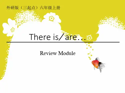 外研版(三起点)小学六年级英语上册There_be句型复习课件