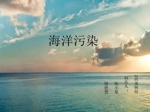 海洋污染案例