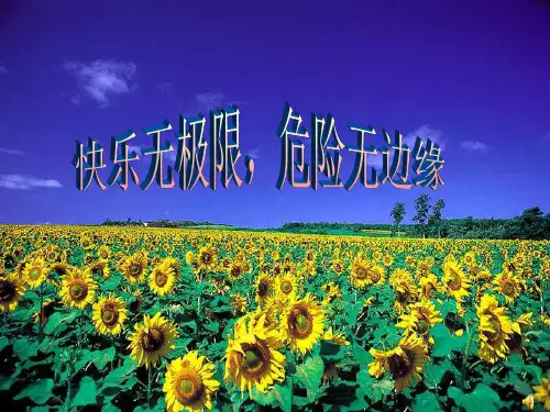 《安全教育主题班会》PPT课件
