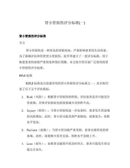 肾小管损伤评分标准(一)