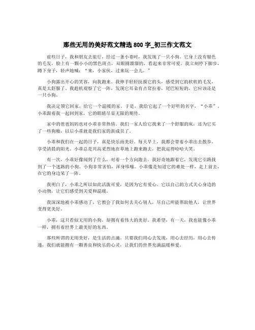 那些无用的美好范文精选800字_初三作文范文