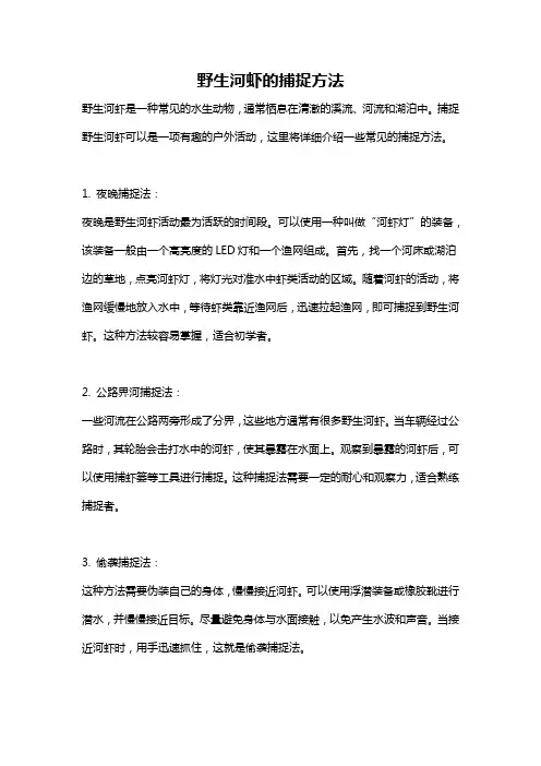 野生河虾的捕捉方法