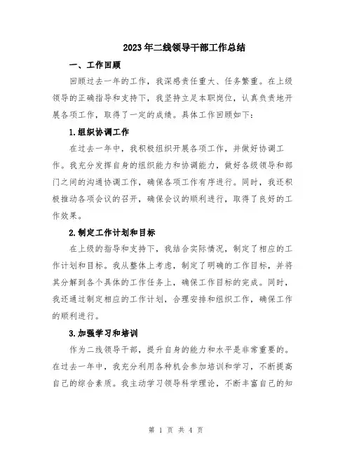 2023年二线领导干部工作总结