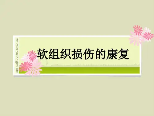 软组织损伤的康复