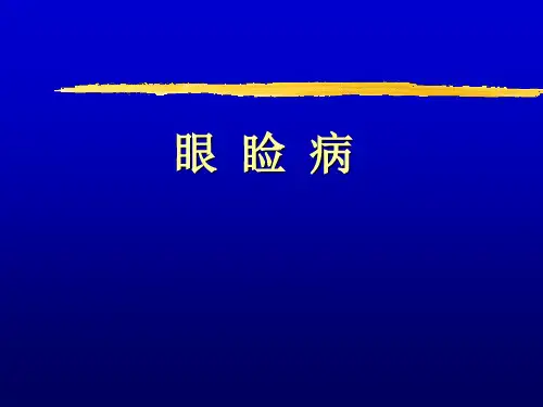 眼睑解剖汇总