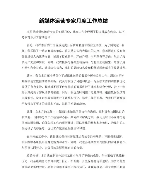 新媒体运营专家月度工作总结