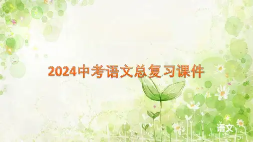 2024中考语文二轮专题复习课件：专题三+口语交际与综合性学习(共30张PPT)