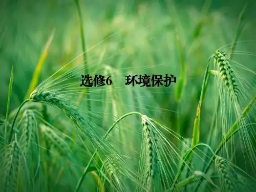 高考地理大二轮复习与测试 环境保护课件课件