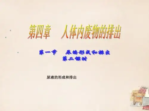 七年级生物下册 第三单元 第四章 第一节 尿液的形成和排出课件(1)
