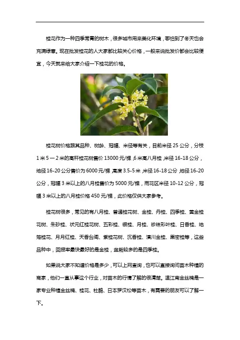 桂花的批发价是多少