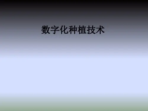 数字化种植流程