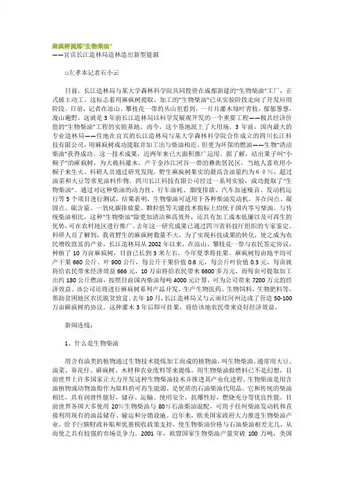 麻疯树提炼“生物柴油”