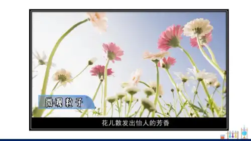 第三单元课题1分子和原子第一课时课件-九年级化学人教版上册
