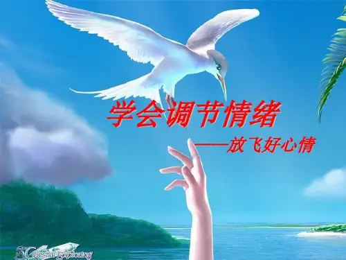 学会调节情绪放飞好心情PPT(21张)