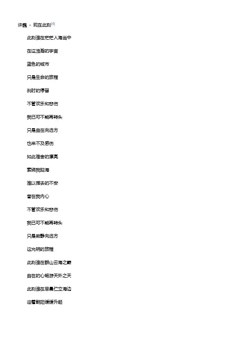 许巍现在此刻歌词