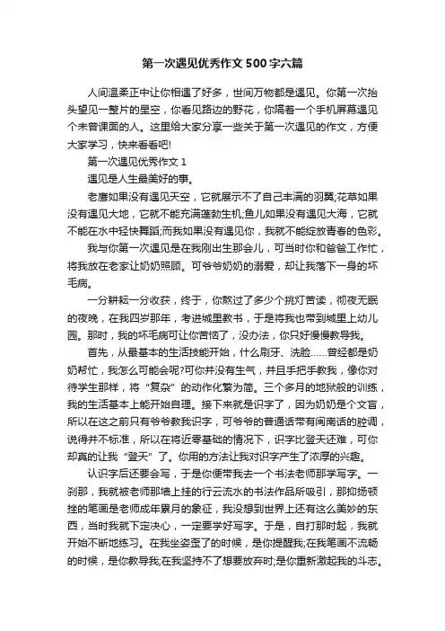第一次遇见优秀作文500字六篇